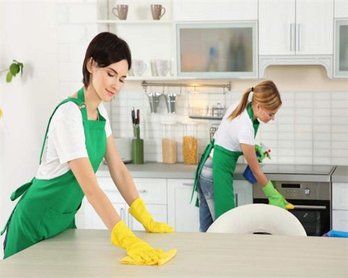 稠江月嫂服務公司與義烏福田開荒保潔 專業家政服務的全面指南